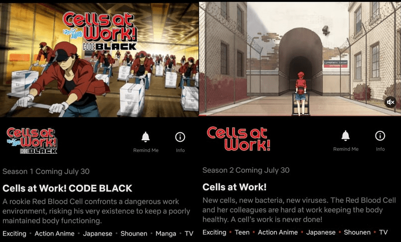 Netflix Streams Cells at Work! Code Black Anime in India on July 30 - News  - Anime News Network
